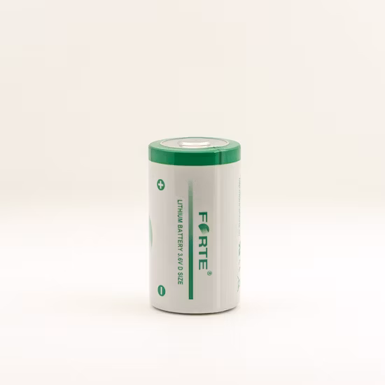 Lisocl2 一次電池 Li-Socl2 ガスメーター D リチウム電池 19000mAh Er34615 Lorawan Nbiot 駐車場用